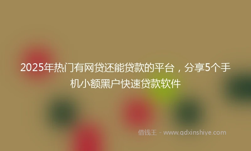2025年热门有网贷还能贷款的平台，分享5个手机小额黑户快速贷款软件
