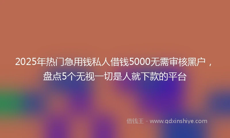 2025年热门急用钱私人借钱5000无需审核黑户，盘点5个无视一切是人就下款的平台
