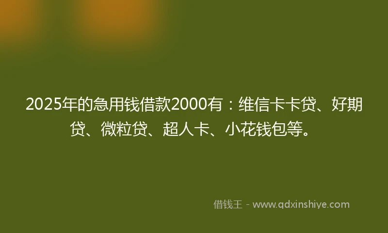 2025年的急用钱借款2000有：维信卡卡贷、好期贷、微粒贷、超人卡、小花钱包等。
