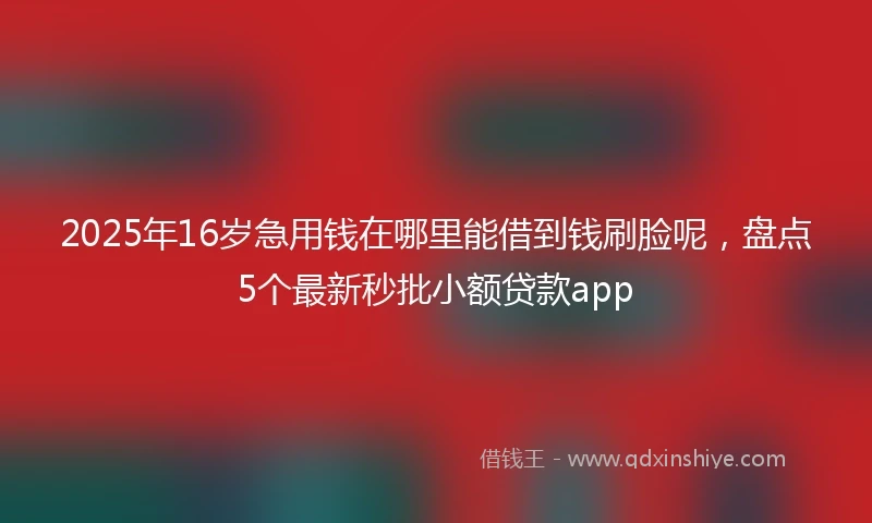2025年16岁急用钱在哪里能借到钱刷脸呢，盘点5个最新秒批小额贷款app