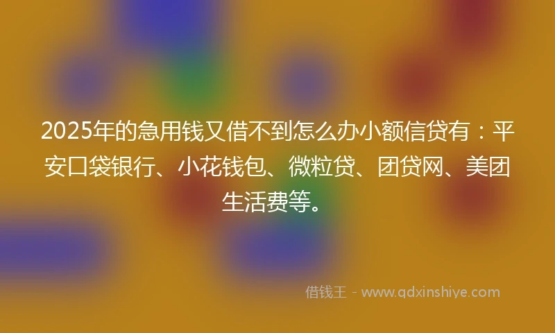 2025年的急用钱又借不到怎么办小额信贷有：平安口袋银行、小花钱包、微粒贷、团贷网、美团生活费等。