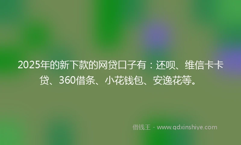 2025年的新下款的网贷口子有：还呗、维信卡卡贷、360借条、小花钱包、安逸花等。