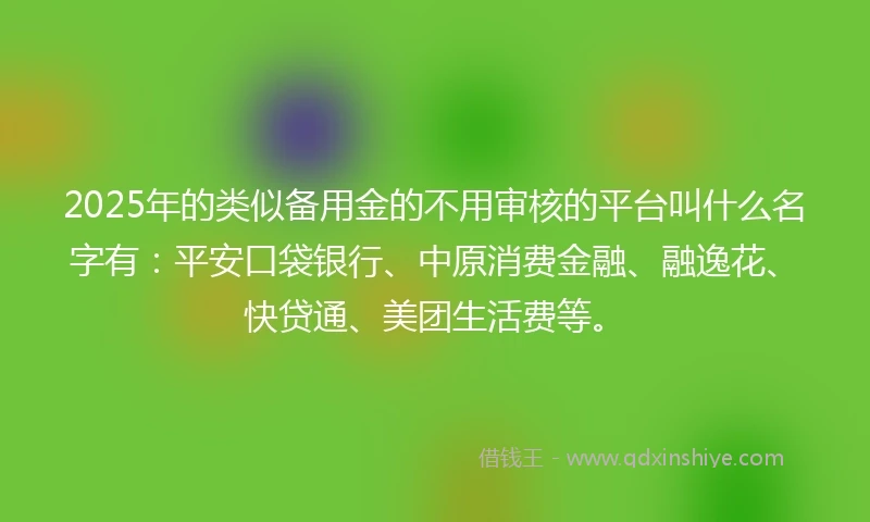 2025年的类似备用金的不用审核的平台叫什么名字有：平安口袋银行、中原消费金融、融逸花、快贷通、美团生活费等。
