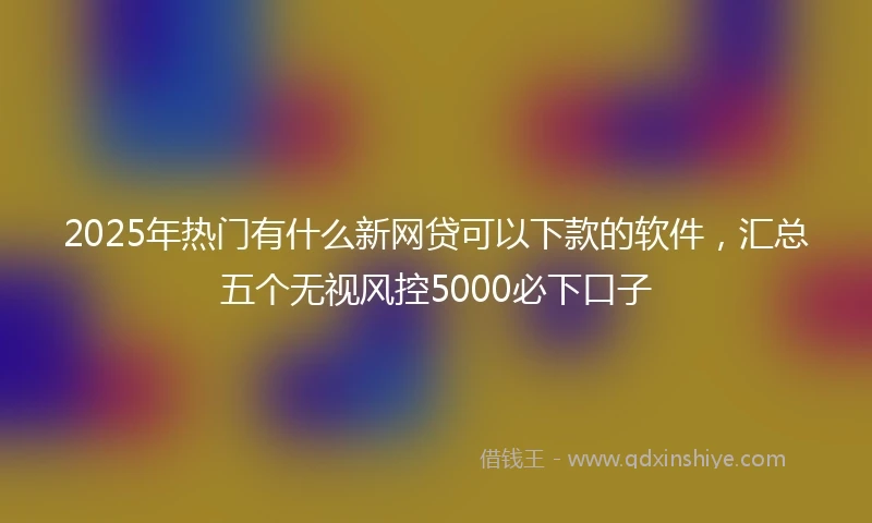2025年热门有什么新网贷可以下款的软件，汇总五个无视风控5000必下口子