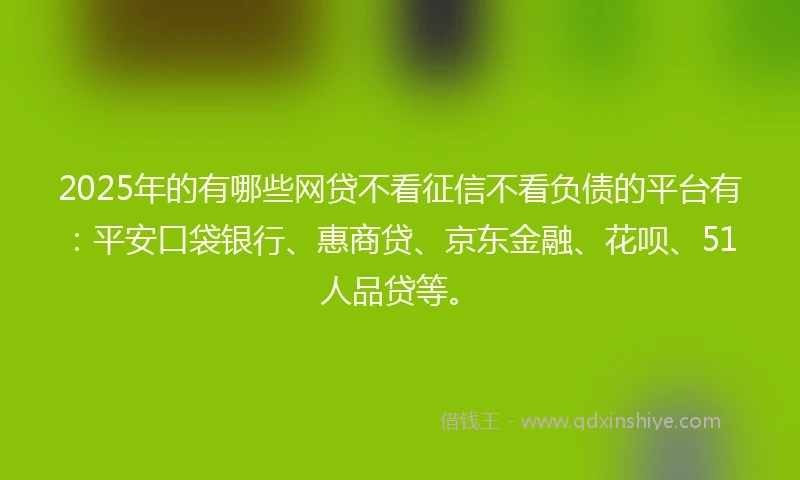 2025年的有哪些网贷不看征信不看负债的平台有：平安口袋银行、惠商贷、京东金融、花呗、51人品贷等。