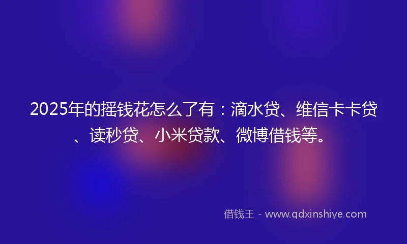 2025年的摇钱花怎么了有：滴水贷、维信卡卡贷、读秒贷、小米贷款、微博借钱等。