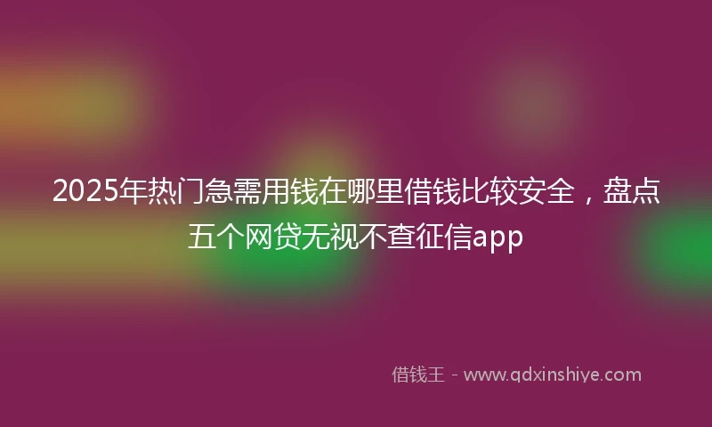 2025年热门急需用钱在哪里借钱比较安全，盘点五个网贷无视不查征信app