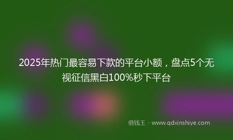 2025年热门最容易下款的平台小额，盘点5个无视征信黑白100%秒下平台