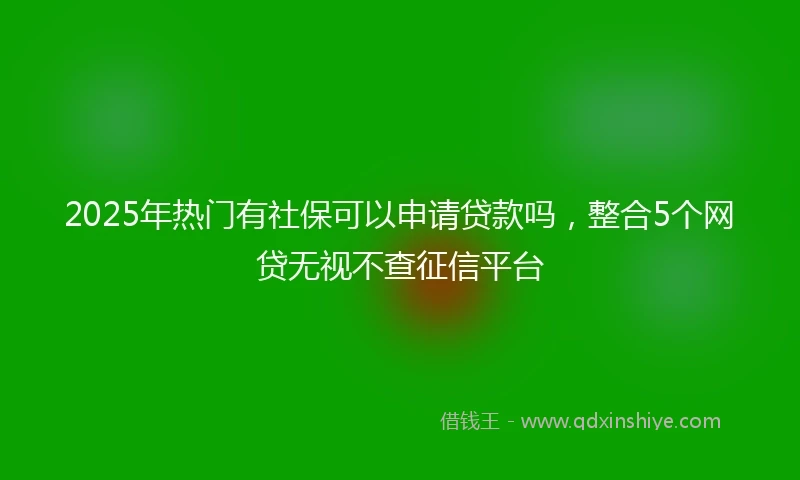 2025年热门有社保可以申请贷款吗，整合5个网贷无视不查征信平台