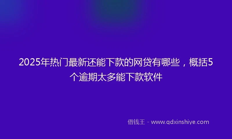 2025年热门最新还能下款的网贷有哪些，概括5个逾期太多能下款软件