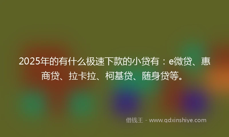 2025年的有什么极速下款的小贷有：e微贷、惠商贷、拉卡拉、柯基贷、随身贷等。