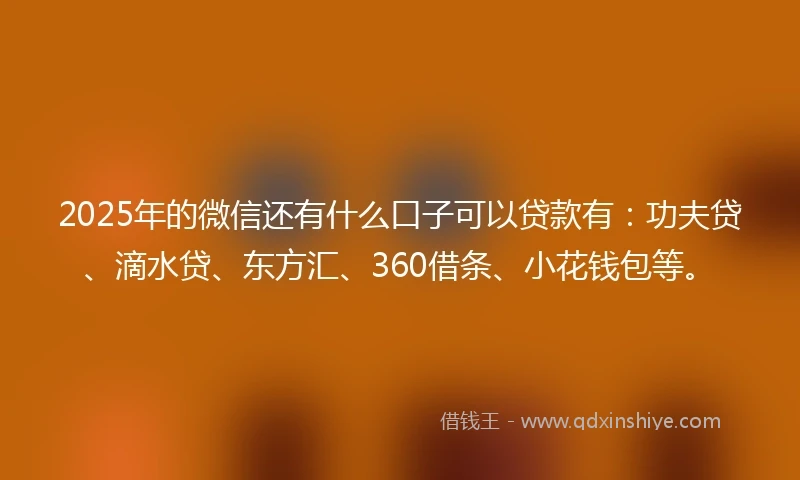 2025年的微信还有什么口子可以贷款有：功夫贷、滴水贷、东方汇、360借条、小花钱包等。