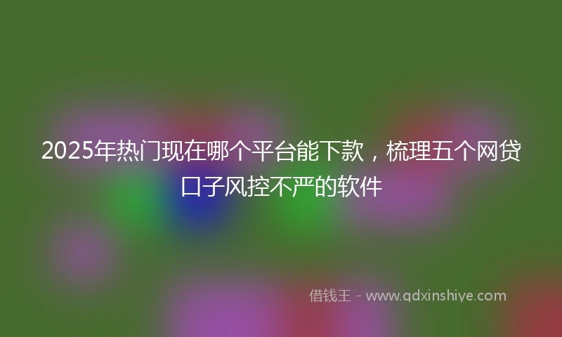 2025年热门现在哪个平台能下款，梳理五个网贷口子风控不严的软件