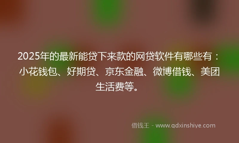 2025年的最新能贷下来款的网贷软件有哪些有：小花钱包、好期贷、京东金融、微博借钱、美团生活费等。