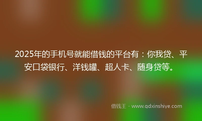 2025年的手机号就能借钱的平台有：你我贷、平安口袋银行、洋钱罐、超人卡、随身贷等。