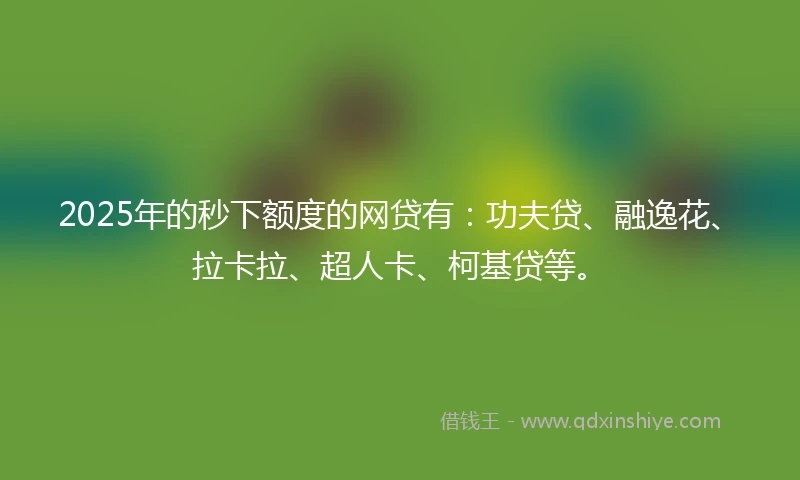 2025年的秒下额度的网贷有：功夫贷、融逸花、拉卡拉、超人卡、柯基贷等。