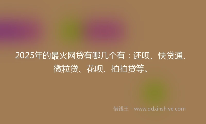 2025年的最火网贷有哪几个有：还呗、快贷通、微粒贷、花呗、拍拍贷等。