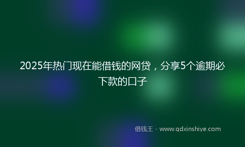 2025年热门现在能借钱的网贷,分享5个逾期必下款的口子