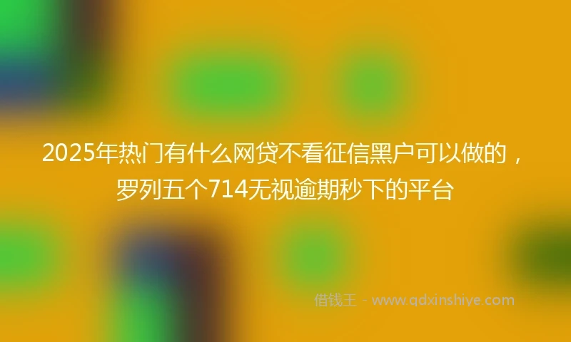 2025年热门有什么网贷不看征信黑户可以做的，罗列五个714无视逾期秒下的平台