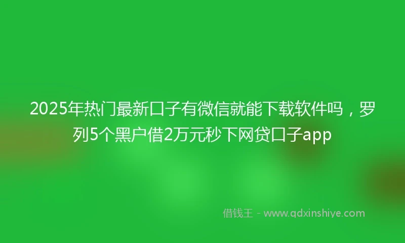 2025年热门最新口子有微信就能下载软件吗，罗列5个黑户借2万元秒下网贷口子app