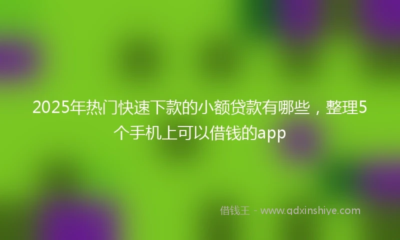2025年热门快速下款的小额贷款有哪些，整理5个手机上可以借钱的app