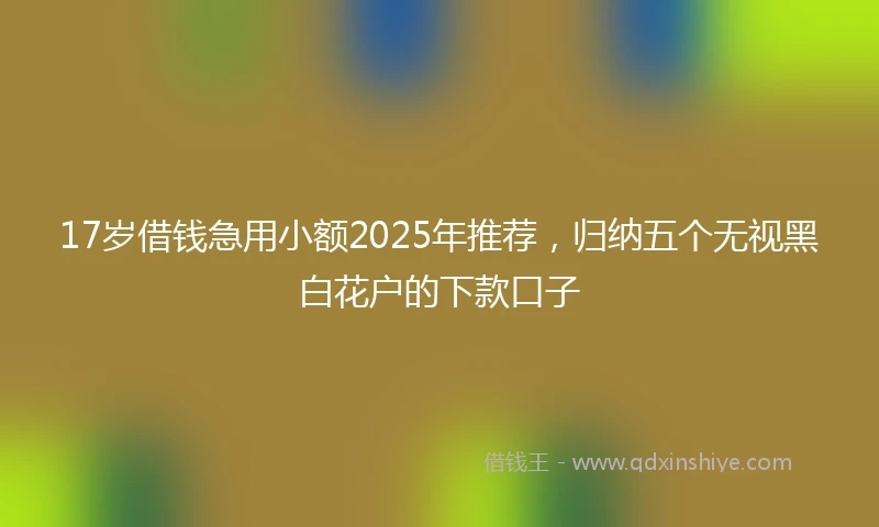 17岁借钱急用小额2025年推荐，归纳五个无视黑白花户的下款口子