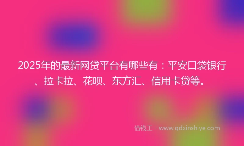 2025年的最新网贷平台有哪些有：平安口袋银行、拉卡拉、花呗、东方汇、信用卡贷等。