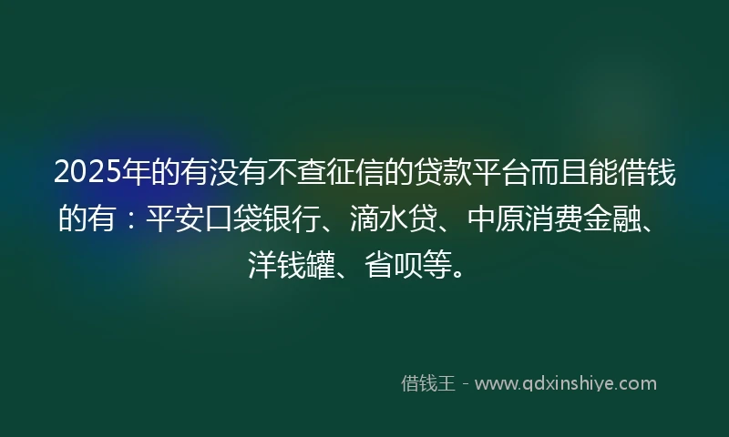 2025年的有没有不查征信的贷款平台而且能借钱的有：平安口袋银行、滴水贷、中原消费金融、洋钱罐、省呗等。