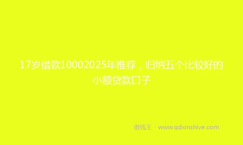 17岁借款10002025年推荐，归纳五个比较好的小额贷款口子