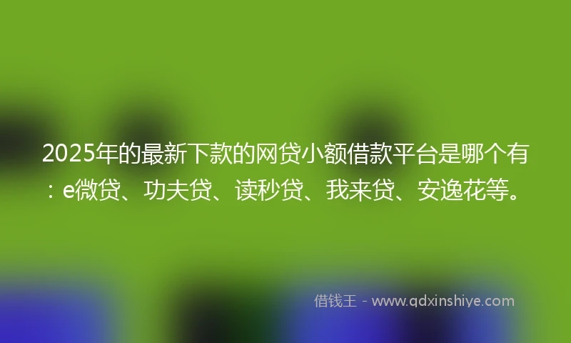 2025年的最新下款的网贷小额借款平台是哪个有：e微贷、功夫贷、读秒贷、我来贷、安逸花等。