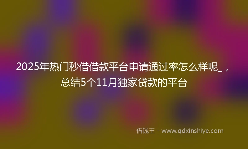 2025年热门秒借借款平台申请通过率怎么样呢_，总结5个11月独家贷款的平台