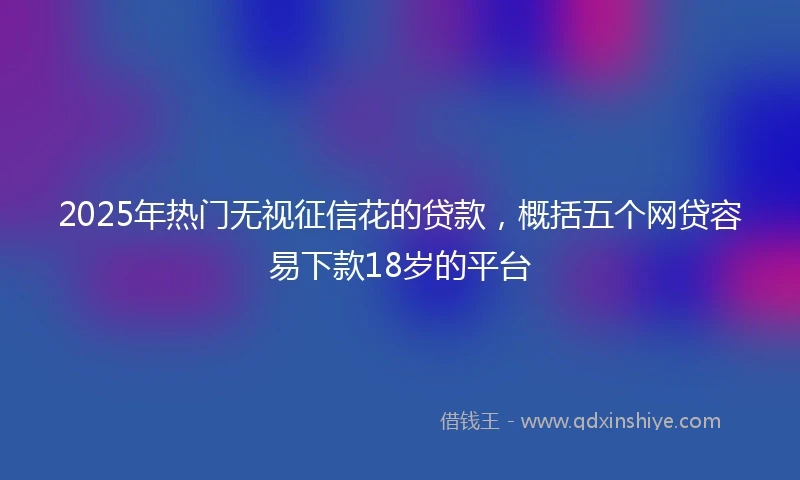 2025年热门无视征信花的贷款，概括五个网贷容易下款18岁的平台