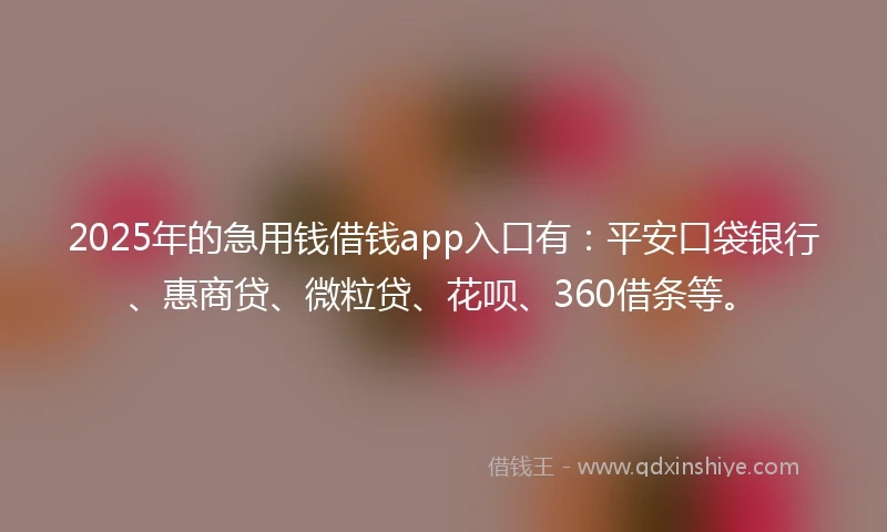 2025年的急用钱借钱app入口有：平安口袋银行、惠商贷、微粒贷、花呗、360借条等。