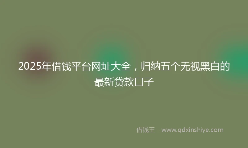 2025年借钱平台网址大全，归纳五个无视黑白的最新贷款口子