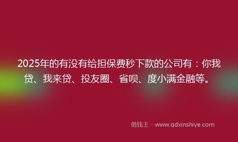 2025年的有没有给担保费秒下款的公司有：你我贷、我来贷、投友圈、省呗、度小满金融等。