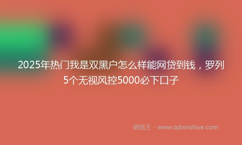 2025年热门我是双黑户怎么样能网贷到钱，罗列5个无视风控5000必下口子