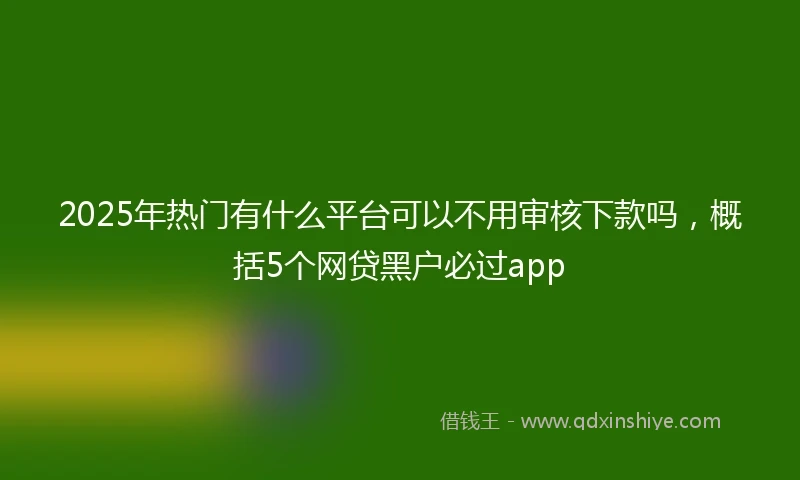 2025年热门有什么平台可以不用审核下款吗，概括5个网贷黑户必过app