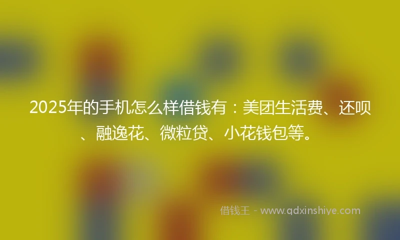 2025年的手机怎么样借钱有：美团生活费、还呗、融逸花、微粒贷、小花钱包等。