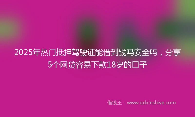 2025年热门抵押驾驶证能借到钱吗安全吗，分享5个网贷容易下款18岁的口子