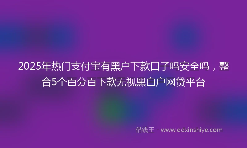 2025年热门支付宝有黑户下款口子吗安全吗，整合5个百分百下款无视黑白户网贷平台