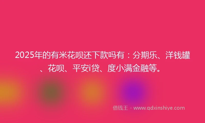 2025年的有米花呗还下款吗有：分期乐、洋钱罐、花呗、平安i贷、度小满金融等。