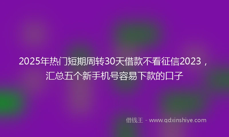 2025年热门短期周转30天借款不看征信2023，汇总五个新手机号容易下款的口子