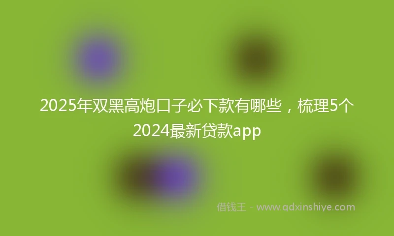 2025年双黑高炮口子必下款有哪些，梳理5个2024最新贷款app