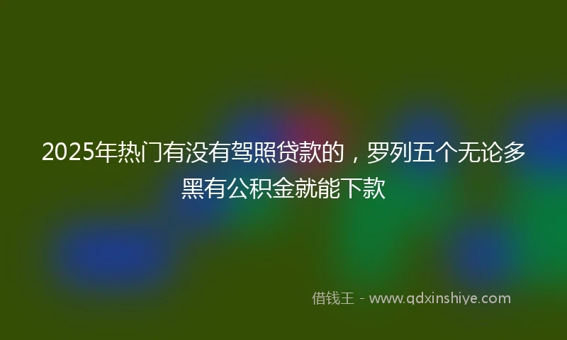 2025年热门有没有驾照贷款的，罗列五个无论多黑有公积金就能下款