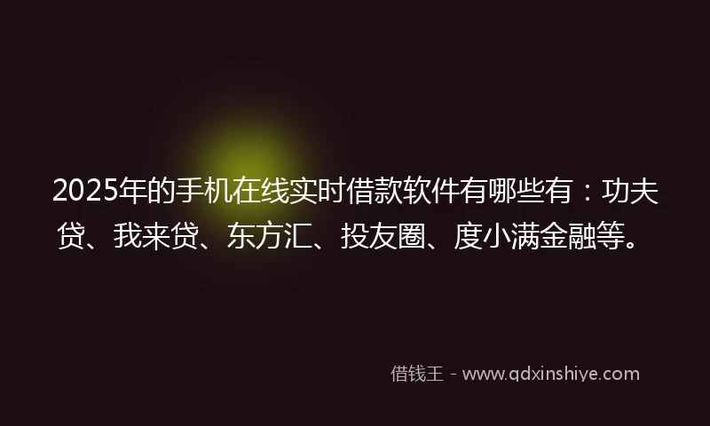 2025年的手机在线实时借款软件有哪些有：功夫贷、我来贷、东方汇、投友圈、度小满金融等。