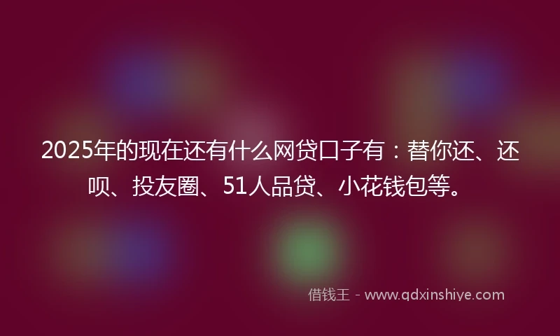 2025年的现在还有什么网贷口子有:替你还、还呗、投友圈、51人品贷、小花钱包等。