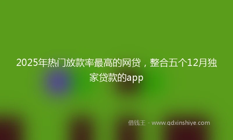 2025年热门放款率最高的网贷，整合五个12月独家贷款的app