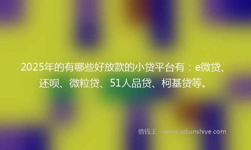 2025年的有哪些好放款的小贷平台有：e微贷、还呗、微粒贷、51人品贷、柯基贷等。