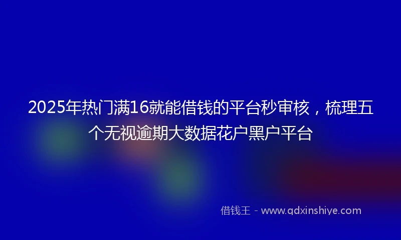 2025年热门满16就能借钱的平台秒审核，梳理五个无视逾期大数据花户黑户平台