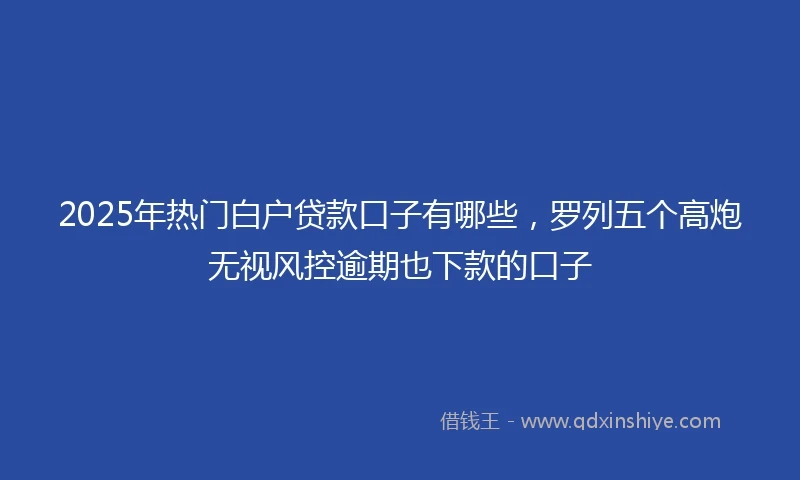 2025年热门白户贷款口子有哪些，罗列五个高炮无视风控逾期也下款的口子